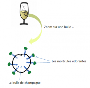 bulle champagne et arome