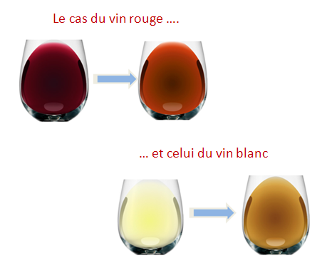 vin rouge vin blanc évolution couleur