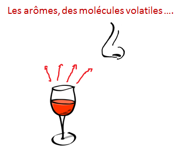 arome molecules