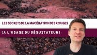 11 minutes pour COMPRENDRE les MACÉRATIONS du vin rouge : Le GUIDE pour le dégustateur (Leçon n°149)