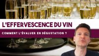 Comment évaluer le niveau de BULLES d’un vin ? (Leçon n°155)