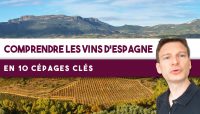 Les 10 CÉPAGES CLÉS pour comprendre les vins d’ESPAGNE (Leçon n°159)