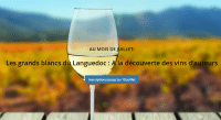 📣Nouveau : Découvrez les grands blancs du Languedoc ! 😋