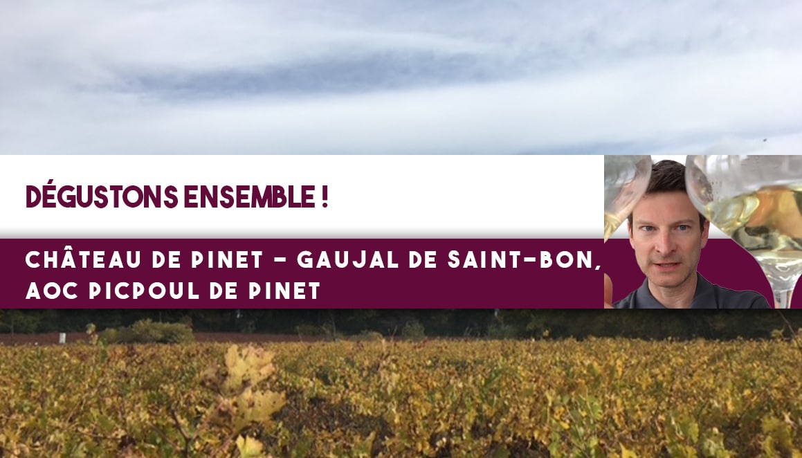 Dégustons ensemble ! Château de Pinet – Gaujal de Saint-Bon, AOC Picpoul de Pinet (Leçon°194)